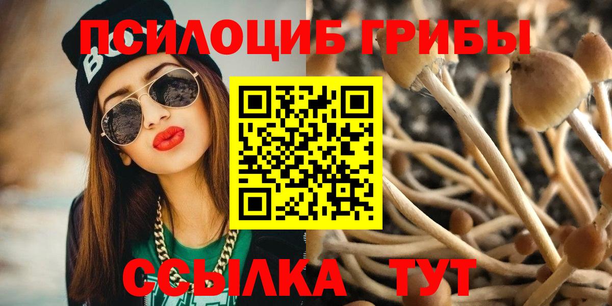 Галлюциногенные грибы Psilocybe  Вход с VPN  Тайшет  Галлюциногенные грибы Magic Shrooms 